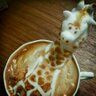 DrDoolittlePhD's profile picture. P450 nerdy scientist/giraffe lover. Trying 2 look at life from a funny perspective & failing miserably. Views are all my own & not connected to work at all😀🦒