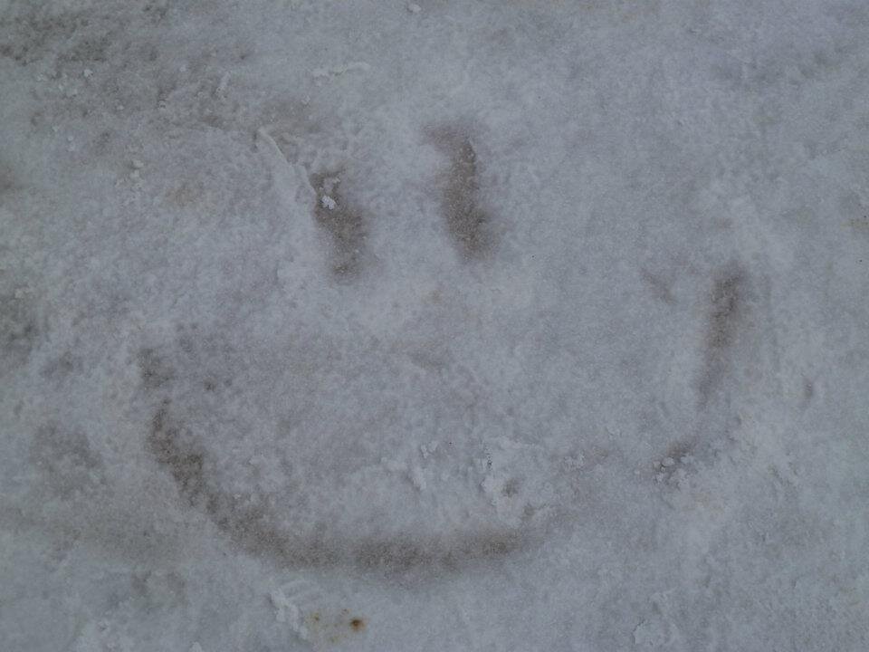 silvin_cru's profile picture. 