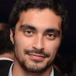 Publicista e idealista