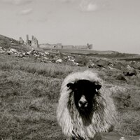 Ruth Potts (@ruthap80) 's Twitter Profile
