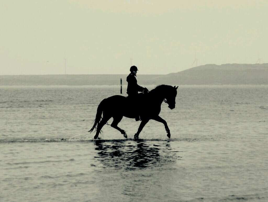 Miss_DJS's profile picture. 