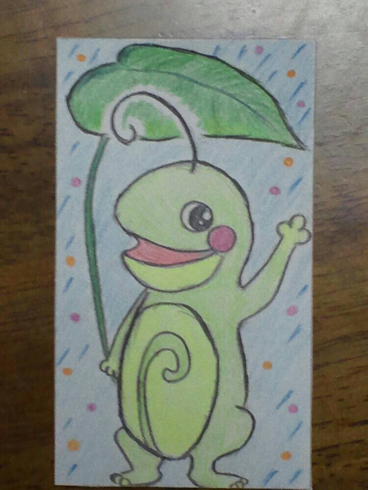 匠 ポケモンy予約済み Love Nyoroto Twitter