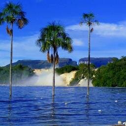 JuanSarrio's profile picture. 