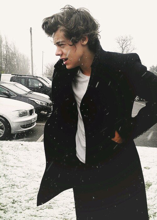 icannotwaitto's profile picture. harry and @liamvibes love you to the moon and back