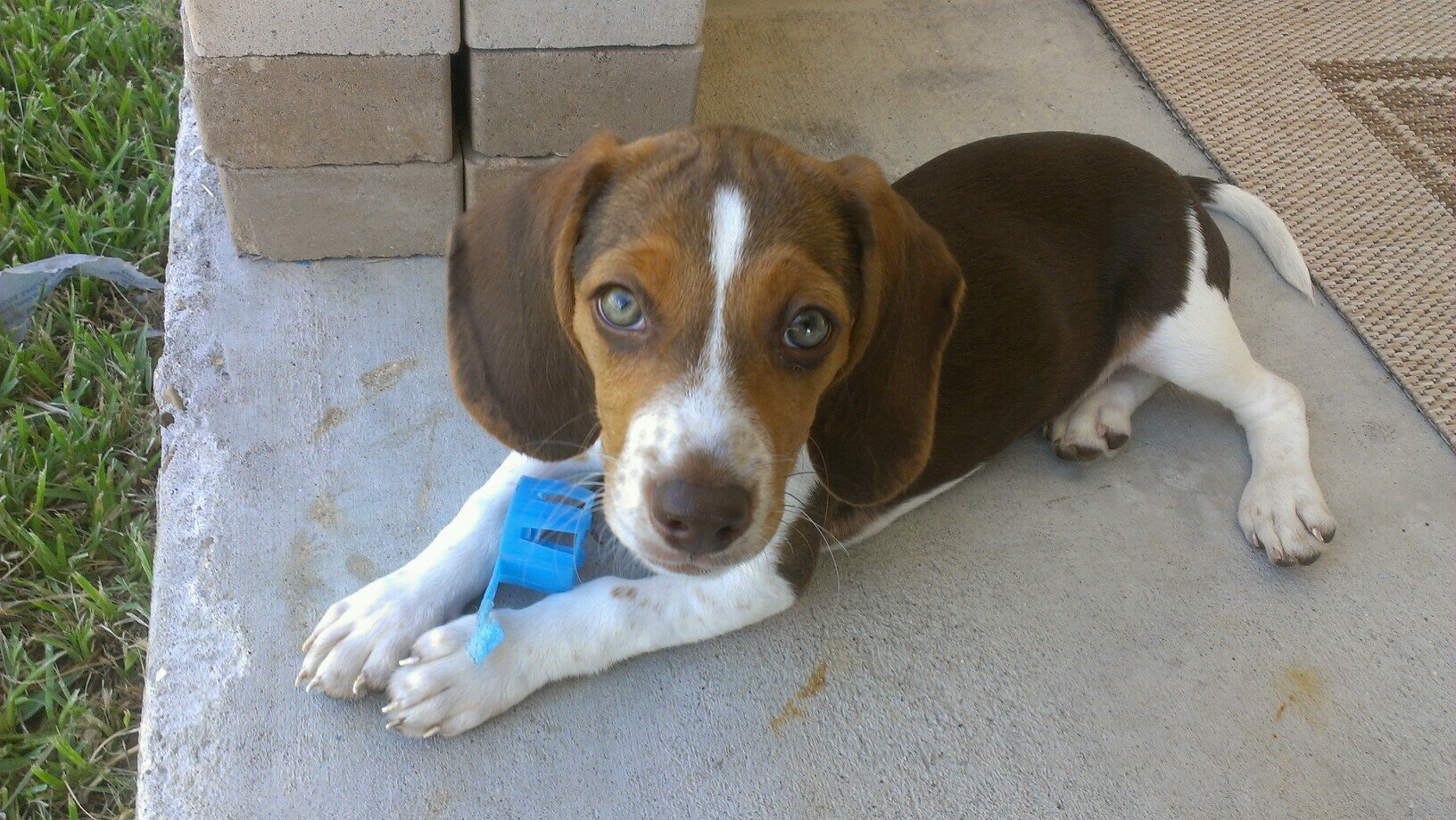 Mjaxun's profile picture. 