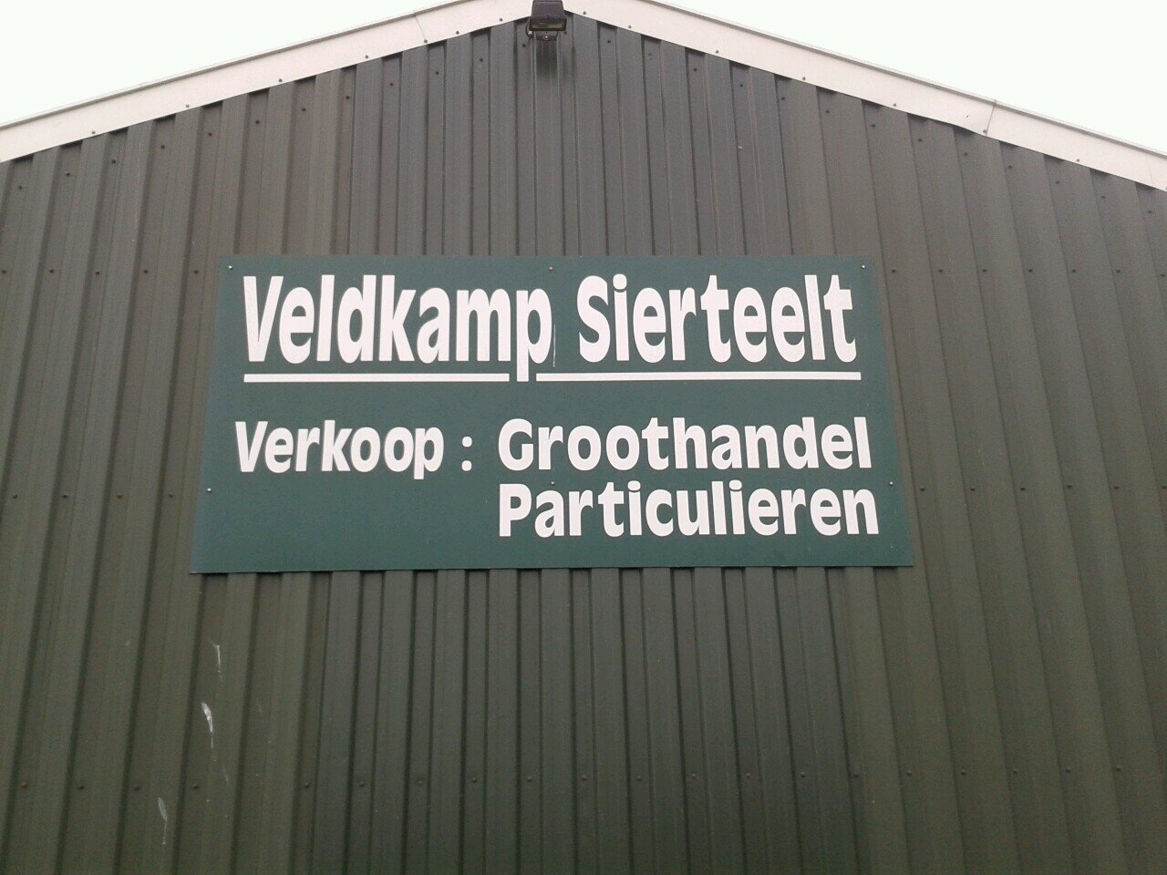 12 jaar