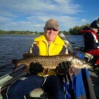 Harry Davies (@harrynsg) 's Twitter Profile Photo Harry Davies (@harrynsg) 's Twitter Profile Photo