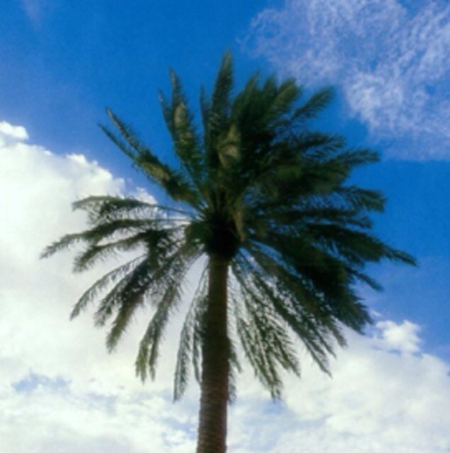 ماجستير عقيدة ومذاهب معاصرة . . سيمضي الجميع؛ ويبقى الأثر!
