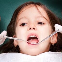 silvyodonto's profile picture. Tratamientos de #Odontología #niños y #adolescentes, aparatos ortopédicos de crecimiento #maxilar, manejo de #hábitosorales 6859390 - 3125831014