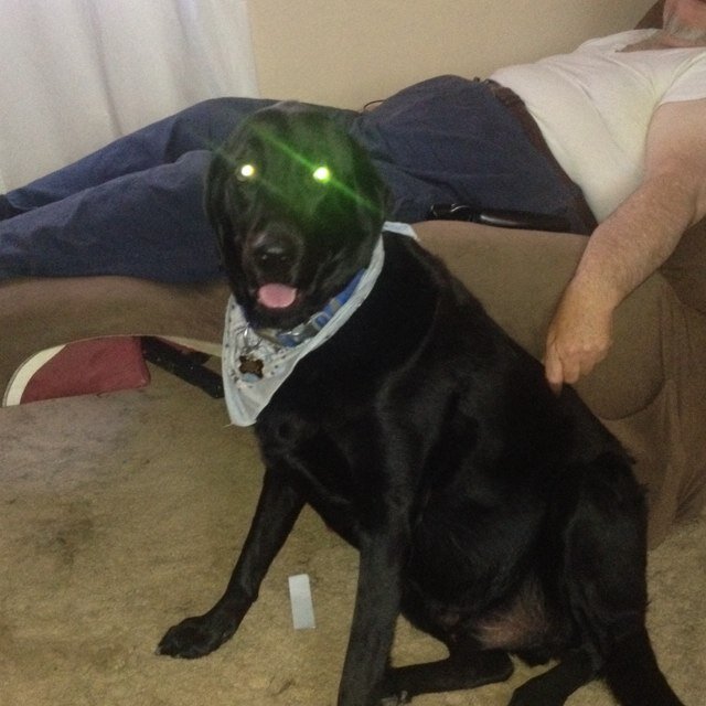 WalrusRex's profile picture. 