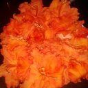 Jody (Barr) Desport - @earthstar68 - Twitter