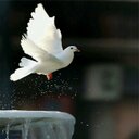 علي ال قاسم (@0554248825) Twitter