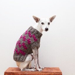 Ware of the Dog is a luxury dog accessory collection. The name of the collection is inspired by Beware of the Dog signs found on many of your neighbor’s fences.