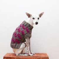 Ware Of The Dog (@wareofthedog) Twitter profile photo