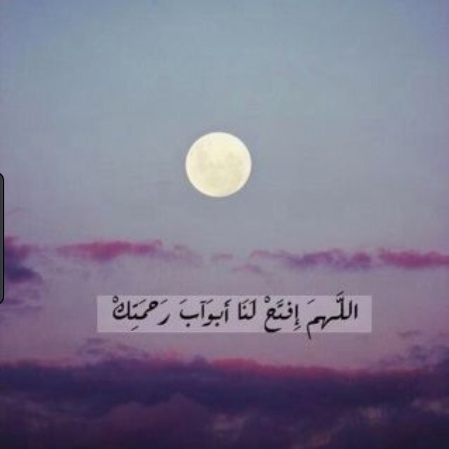 سبحان الله العظيم سبحان الله وبحمده ❤