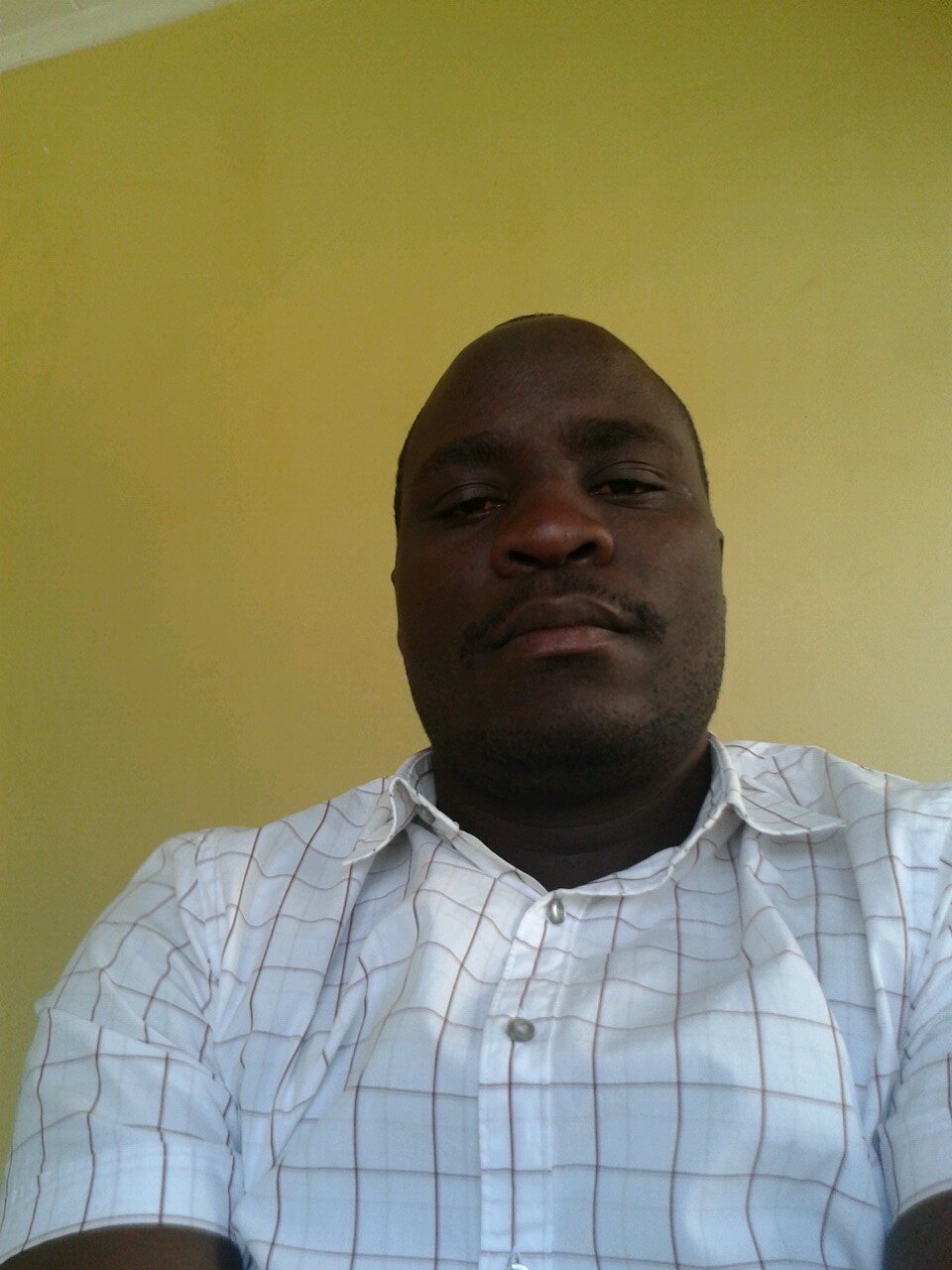 wylife4's profile picture. 