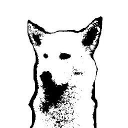 artist / pyro