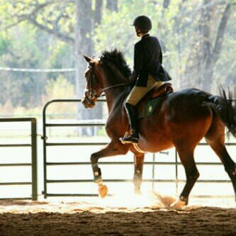 ‏born on 18 of january, student in IkS, اللهم قربني لمن هو خير لي♡