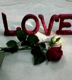 1234asd31's profile picture. 