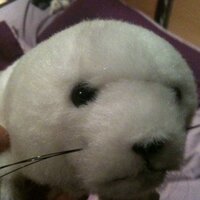 rob johnstone (@robjphat) 's Twitter Profile Photo