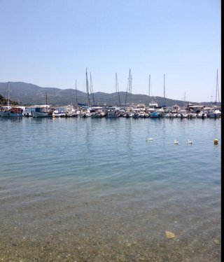 romashinao's profile picture. 