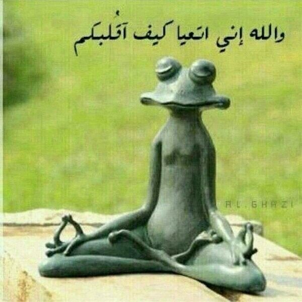 نتيجة بحث الصور عن صورة نشبة