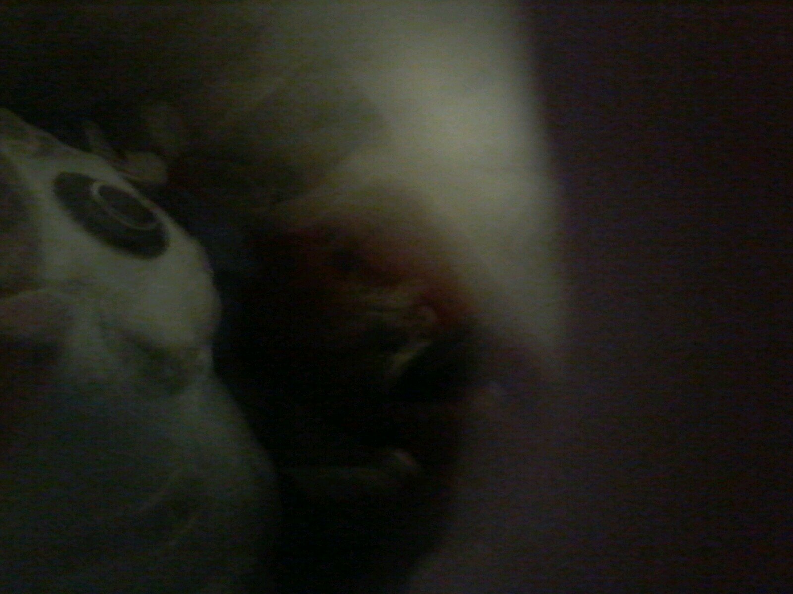 lillyTCma's profile picture. 