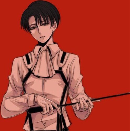 Leviさんのプロフィール画像