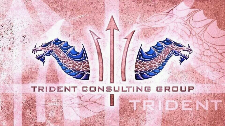 ConsultTrident's profile picture. Specializes in emergency planning, continuity of operations, training, drills, and exercises.  Over a century of combined experience in the safety profession.