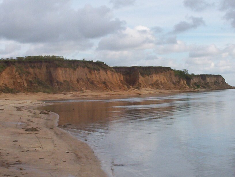 Mecanico