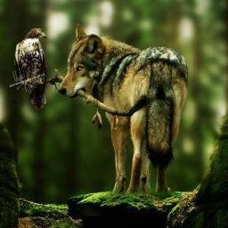 El hombre ha hecho de la tierra un infierno para los animales y se ha hecho a la tierra de enemiga. Y ESTOY EN CONTRA DEL HUMANO SOMBIES DEL SISTEMA BORREGOS