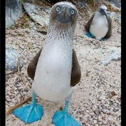Y'a pas juste mes pieds qui sont bleu........tsé veut dire beubé!!!
