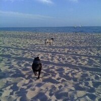 Ted Humphrey (@tedhumphrey_) 's Twitter Profile Photo Ted Humphrey (@tedhumphrey_) 's Twitter Profile Photo