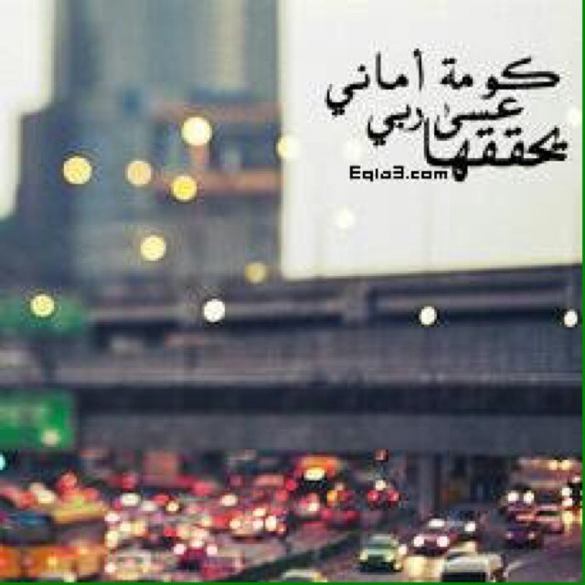 طالب ماسترو والتخرج عن قريب ان شاء الله اعشق الهدوء والرمنسيه واجواء البرد❤️ واليل خوي دربي والهلال عشقي