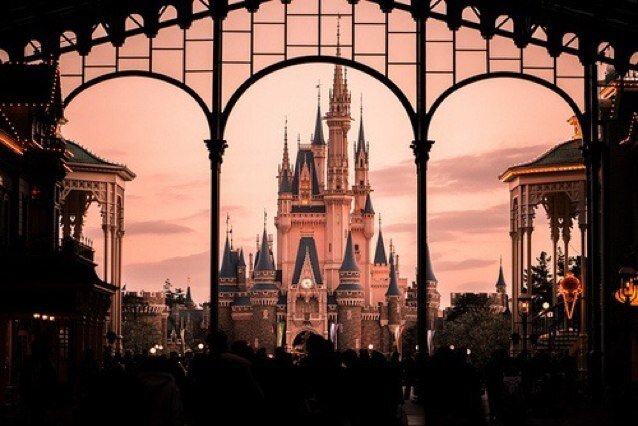 Elementary Principal | Ed. D. Educational Leadership |Ed. S. Ed. Leadership|M.S. Ed. in Special Education (SLD & ED)|Mom of 2| love to read & WDW.