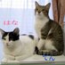はな&てん (@hana__ten) Twitter profile photo はな&てん (@hana__ten) Twitter profile photo