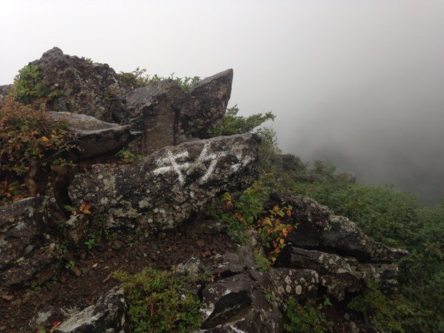 広島在住。
バド、登山、旅行。