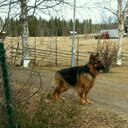 Leif Eriksson - @po_leif - Twitter