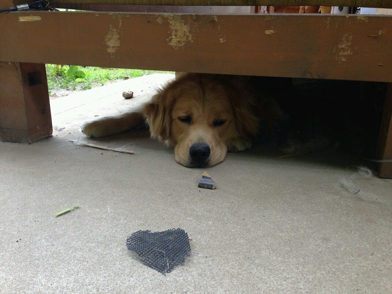 romancedawn1234's profile picture. 