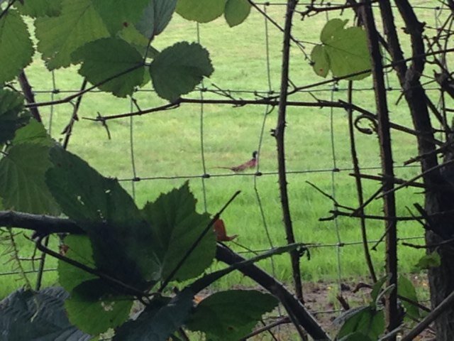 JohnHyde11's profile picture. 