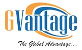 Telecom and VoIP Business