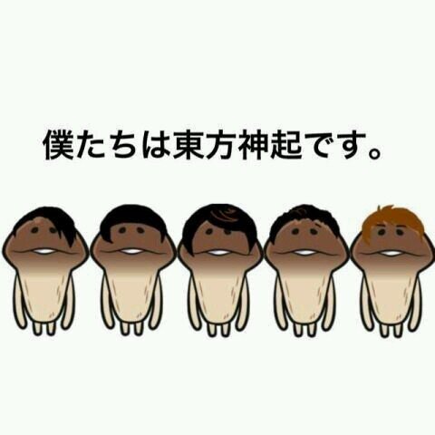 とーほーしんき！じぇーわいじぇー！