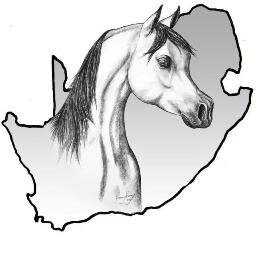 Arab Horse Society of South Africa.  Allied to the SA Studbook & World Arabian Horse Organisation.