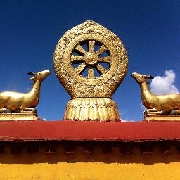 Interested in VR, Bitcoin, Crowdfunding, Startups and anything else related with technology