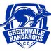 Greenvale Kangaroos (@greenvalerooscc) Twitter profile photo
