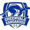 GreenvaleRoosCC's profile picture. Official Twitter feed of the Greenvale Kangaroos Cricket Club. Fielding Mens and Womens teams in Victorian Premier Cricket, VTCA & NWCA