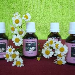 LuisSicajauCume's profile picture. 