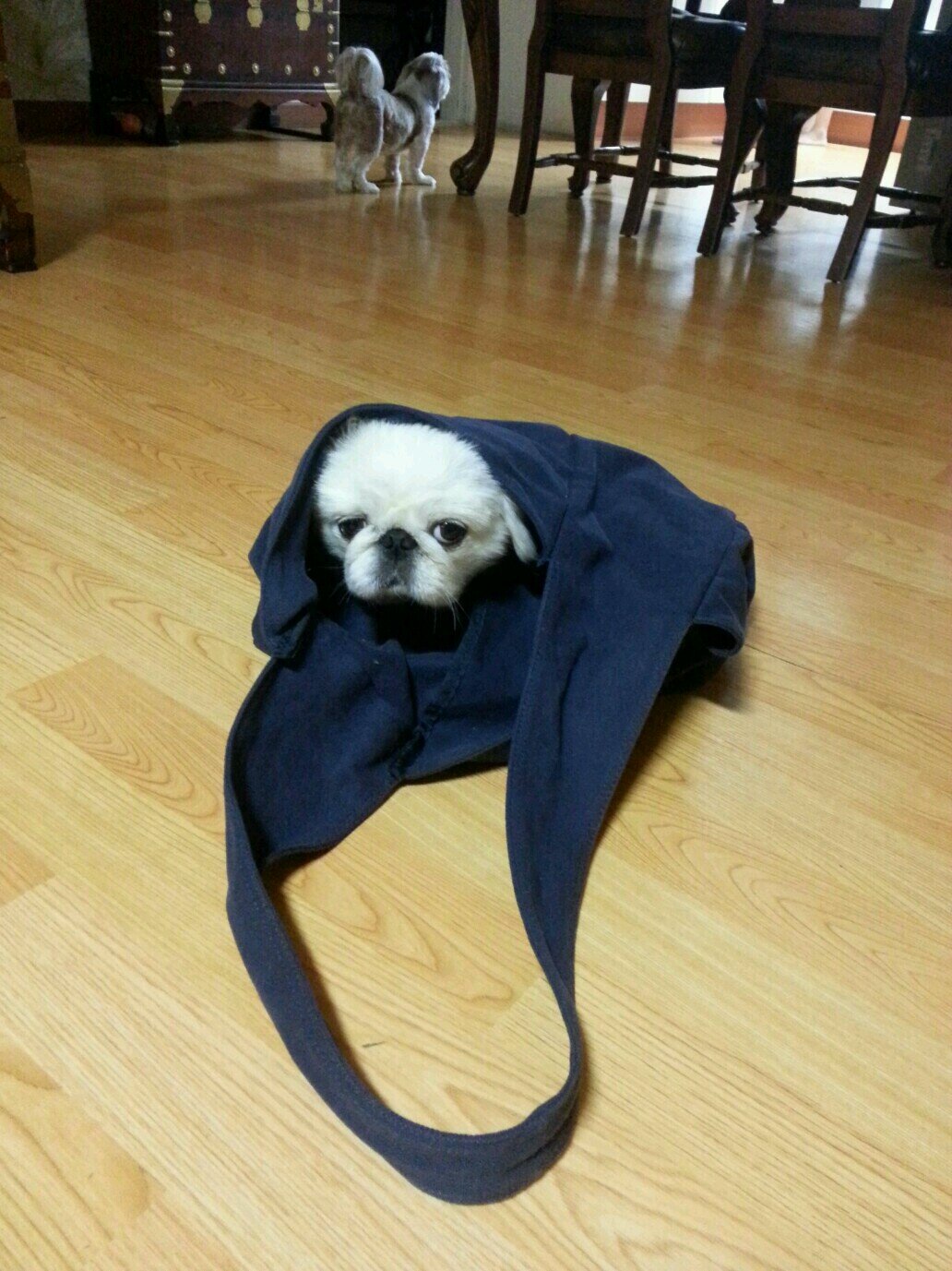 배설의 공간