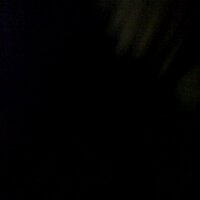 D O N Z A™ (@_doniamahmoud) Twitter profile photo