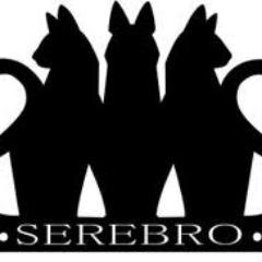 Serebro_eng's profile picture. People support community of the Russian pop-band 'Serebro' Серебро http://t.co/vL4lPrzjb0